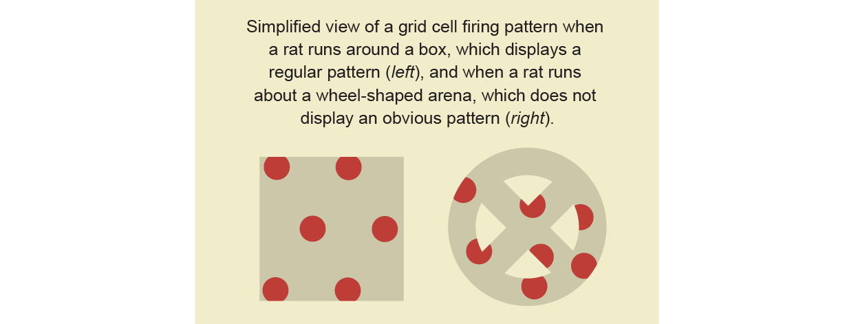Red dots in a square form a clearly regular pattern. Red dots in wheel shape do not.