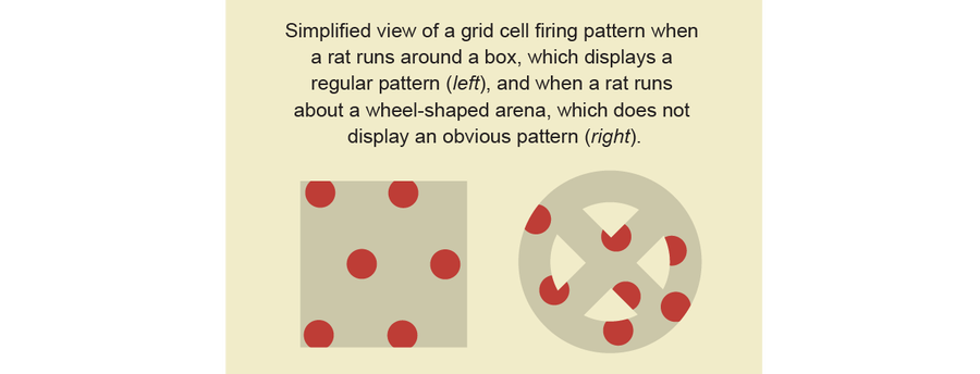 Red dots in a square form a clearly regular pattern. Red dots in wheel shape do not.