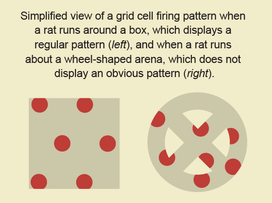Red dots in a square form a clearly regular pattern. Red dots in wheel shape do not.