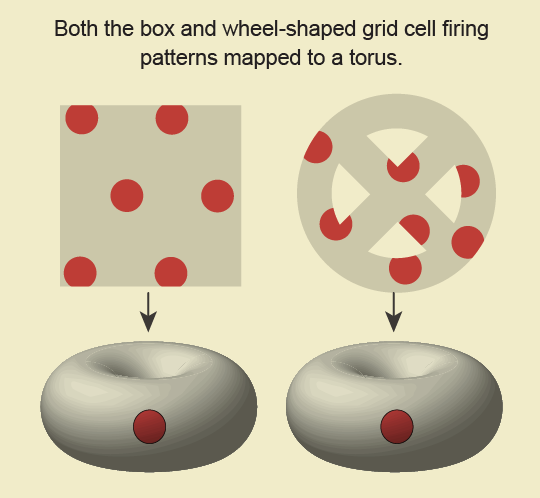 Same square and wheel patterns as previous graphic. Evoking earlier parallelogram example, both map to a torus with 1 dot.
