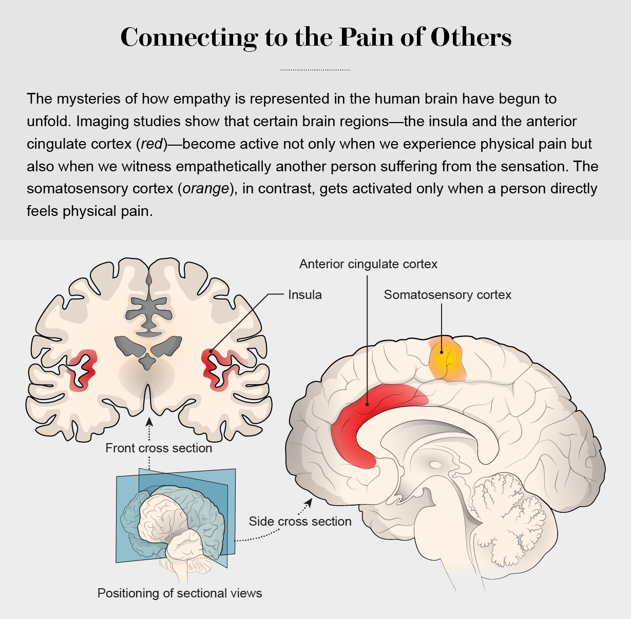 Southeast Psych on X: What is empathy? . Empathy conveys to someone that  we can walk in their shoes. Empathy involves an open-mind to show  compassion and understanding. Empathy is something of