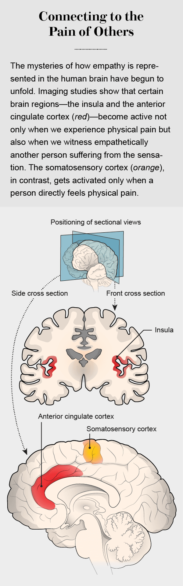 The Good and Bad of Empathy | Scientific American