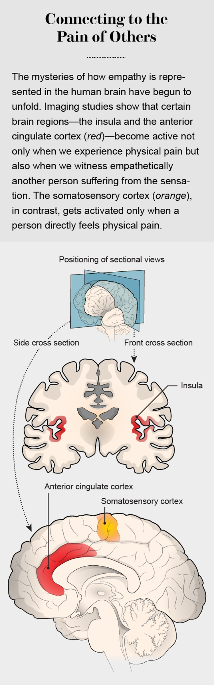 The Good and Bad of Empathy Scientific American