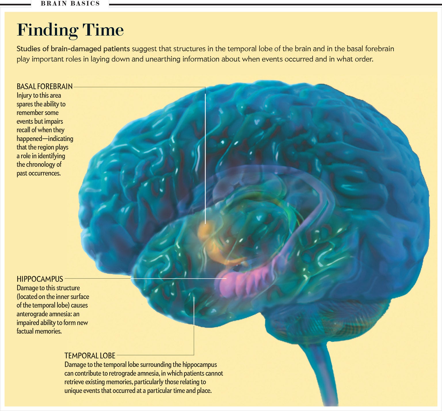 How the Brain Creates a Chronology of Consciousness | Scientific American