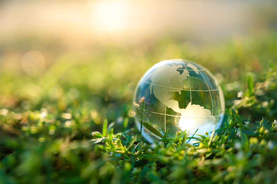 Close up of a glass globe in grass