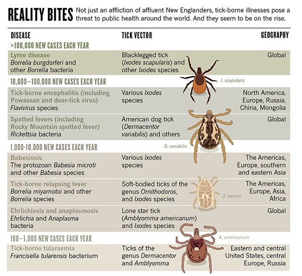 The Growing Global Battle against Blood-Sucking Ticks | Scientific American