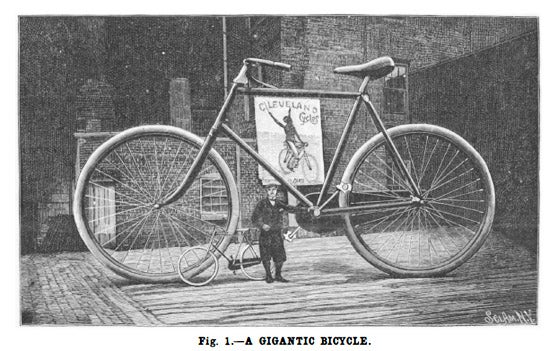 giant bike