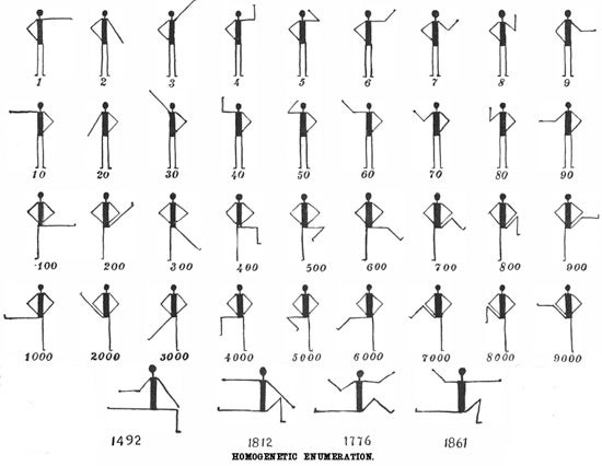 Homogenetic Enumeration chart