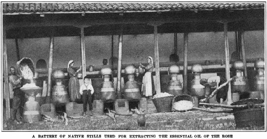 stills used for making rose oil