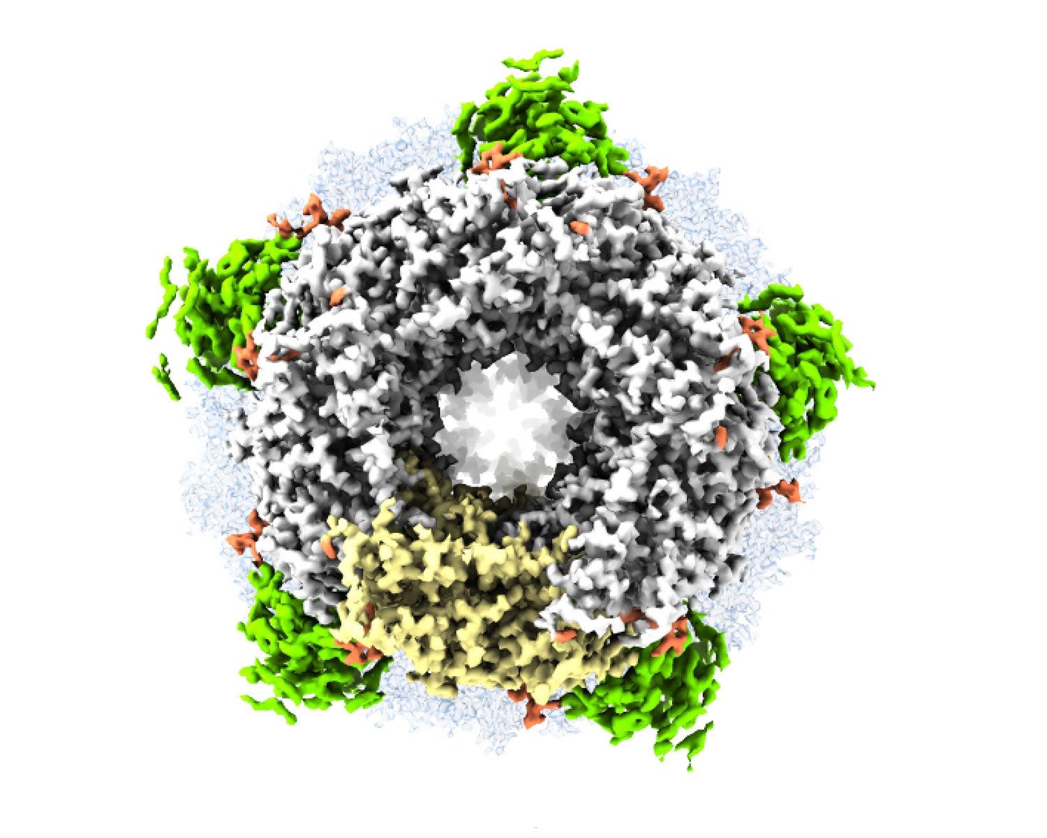 Structure - GABAAR reconstruction