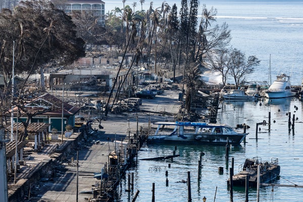 Burnt cars and watercraft on coast at downtown Lahaina after wildfire.