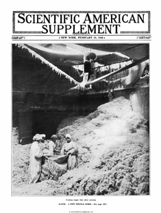 Scientific American Supplements Volume 81, Issue 2094supp