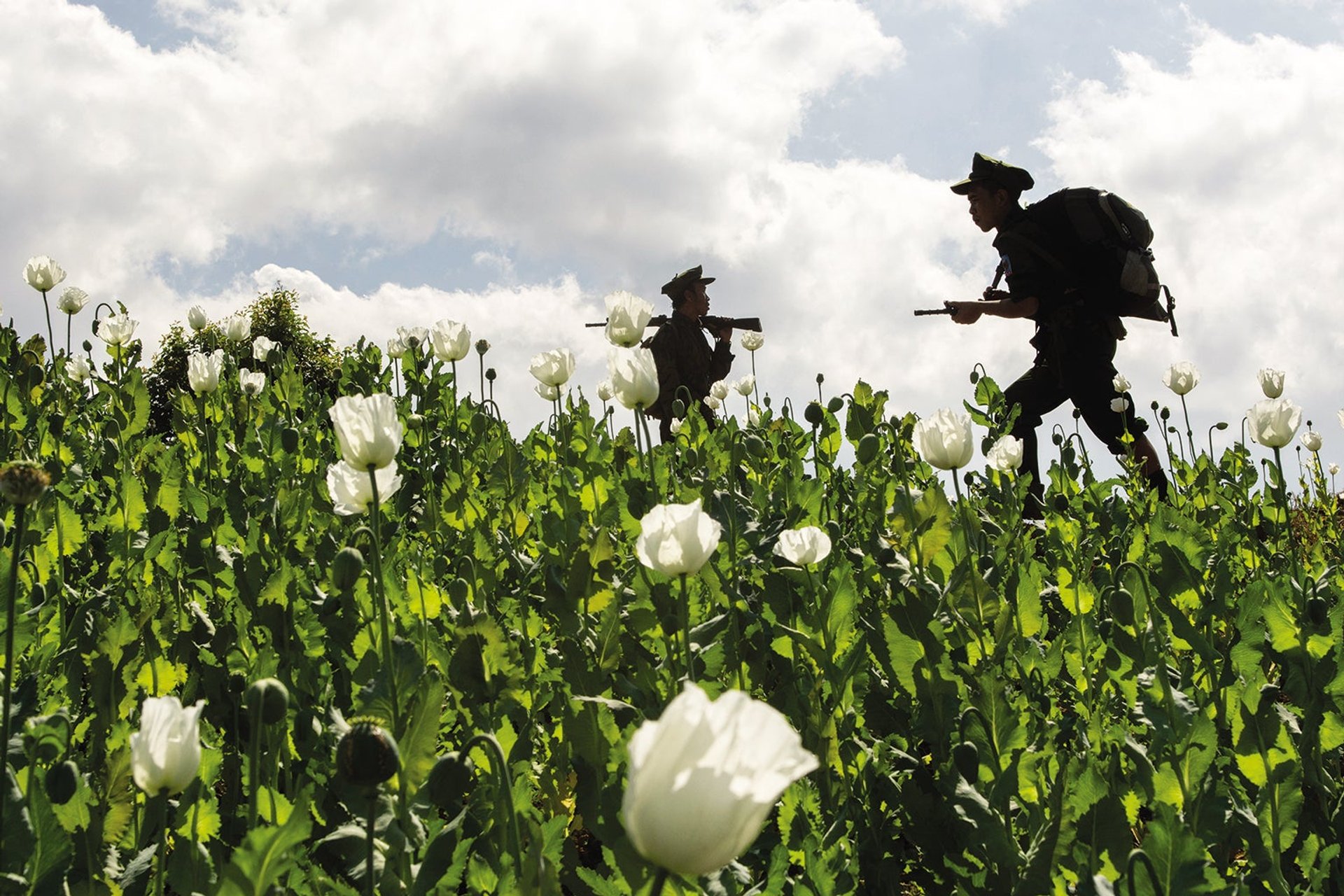 The History of Opium, Facing Up to Quantum Mechanics and Other New 
