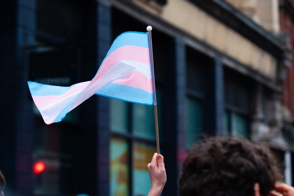 Handheld Transgender Pride Flag at Bristol Trans Rights March.