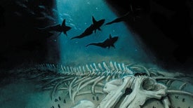 Life at the Bottom: The Prolific Afterlife of Whales