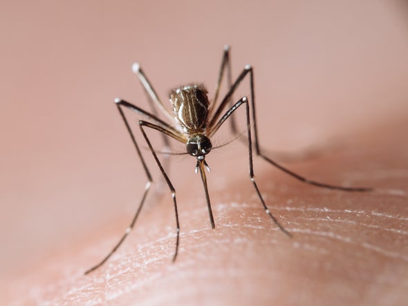 Some Mosquito Repellents Act like Invisibility Cloaks
