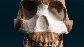 Controversy and Excitement Swirl around New Human Species