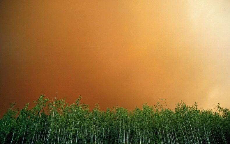 How Stopping Alaskan Wildfires Can Slow Climate Change