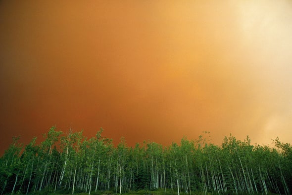 How Stopping Alaskan Wildfires Can Slow Climate Change