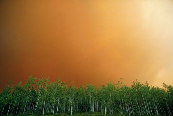 Orange, smoke-filled sky over treeline.