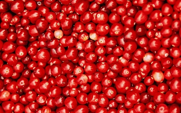 A New Recipe for Counting Cranberries