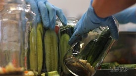 What Makes a Cucumber a Pickle?