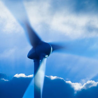 On a Wing and Low Air: The Surprising Way Wind Turbines Kill Bats