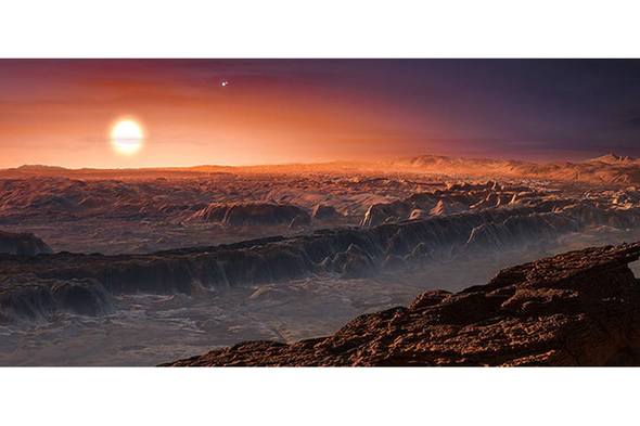 The Closest Exoplanet to Earth Could Be "Highly Habitable"