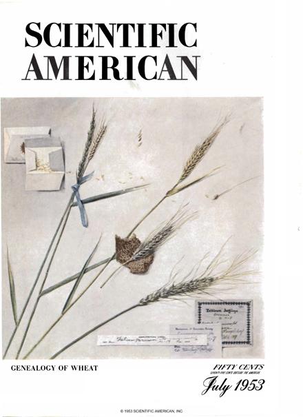 Scientific American Magazine Vol 189 Issue 1