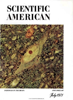 Scientific American Magazine Vol 225 Issue 1