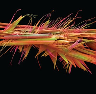 Caffeine Crystals