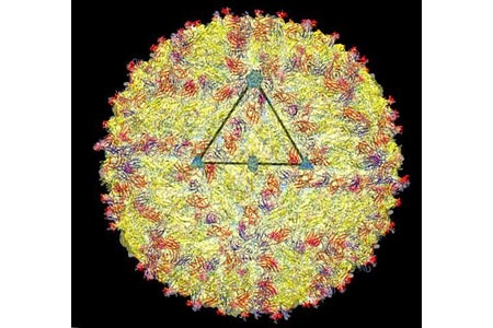 Scientific American Logo