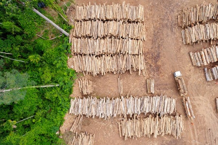 Aerial view of a log storage yard