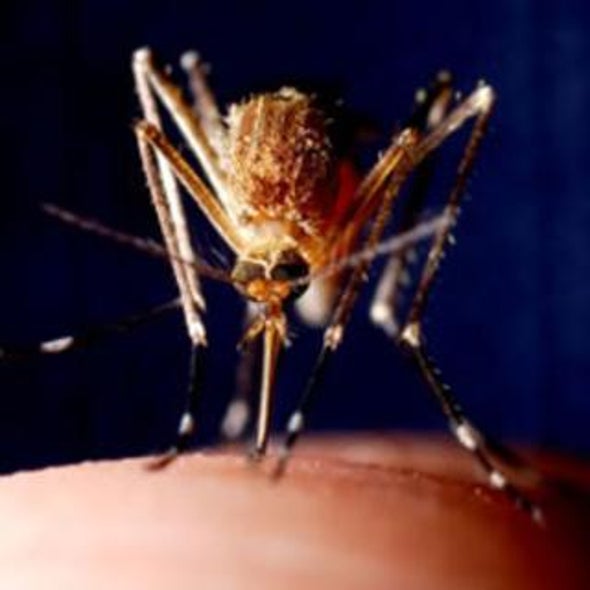 Waiting for Next-Gen Anti-Mosquito Chemicals with Bated Breath