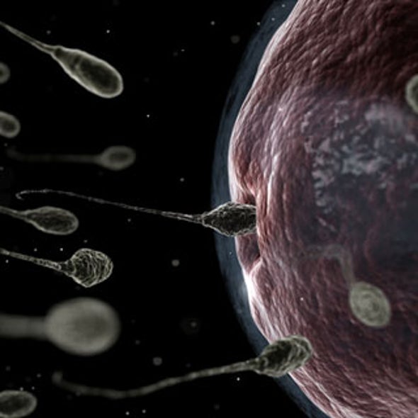 Slide Show: 7 Myths about Pregnancy