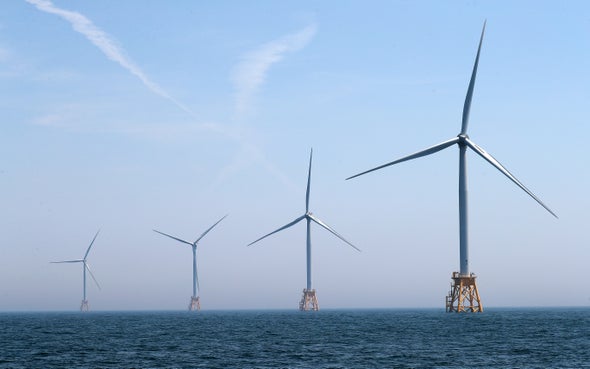 New Digital Tool Tracks Impacts of Offshore Wind on Marine Life