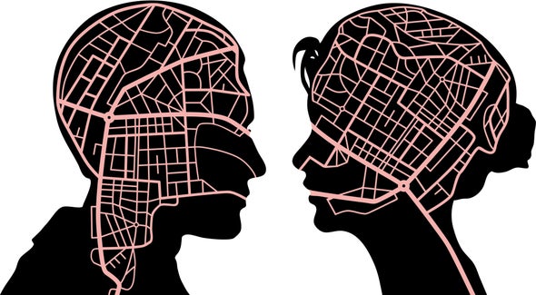 The Brain Cells behind a Sense of Direction
