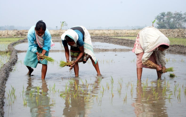 crops-that-grow-in-salty-water-video-scientific-american