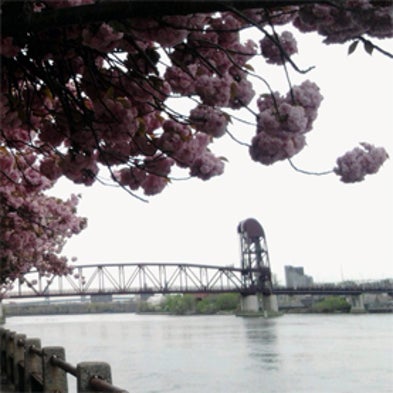 Project BudBurst