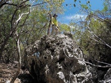 A Tsunami Likely Hurled Huge Rocks onto a Tiny Island