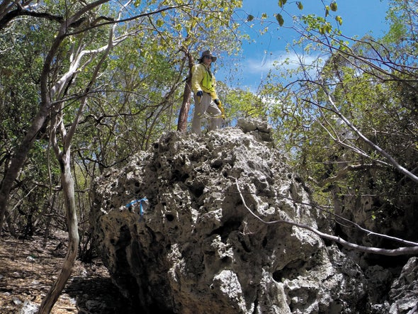 A Tsunami Likely Hurled Huge Rocks onto a Tiny Island