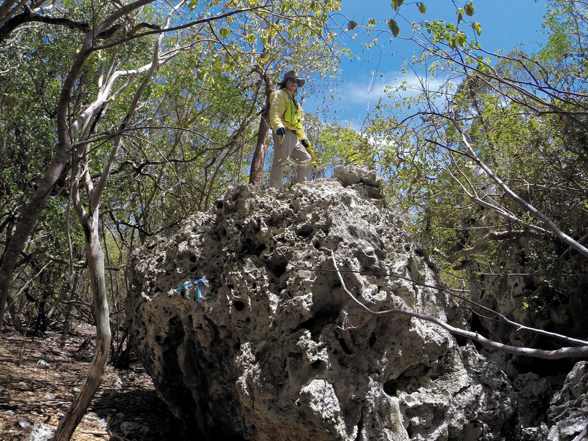 Hurled Rocks A Tsunami Likely Hurled Huge Rocks onto a Tiny Island | Scientific American