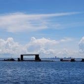 REEFS HIT HARD: