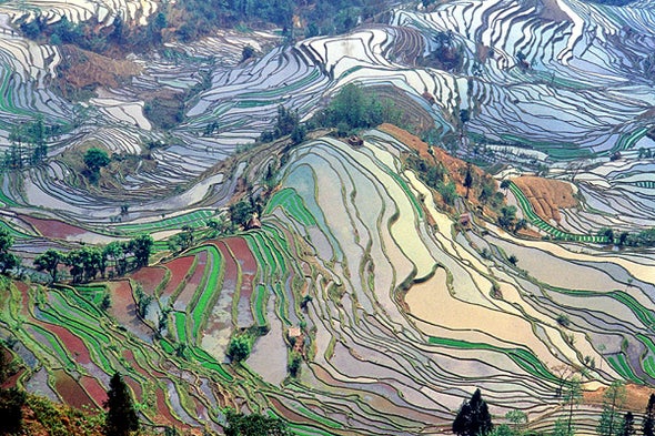 Did the Anthropocene Begin in 1950 or 50,000 Years Ago?