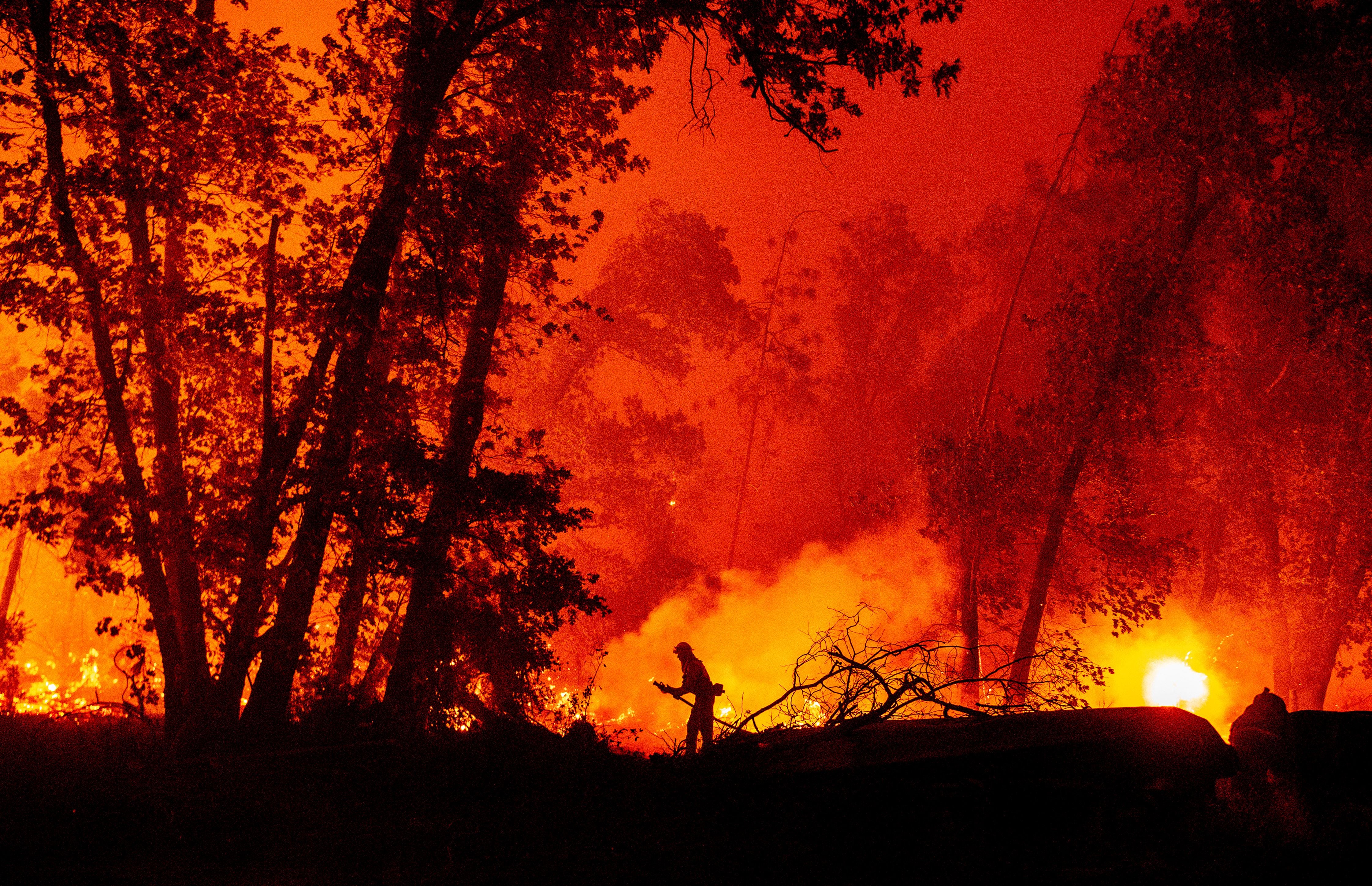 İklim Değişikliği Kaliforniya'nın Orman Yangınlarını Arttırıyor