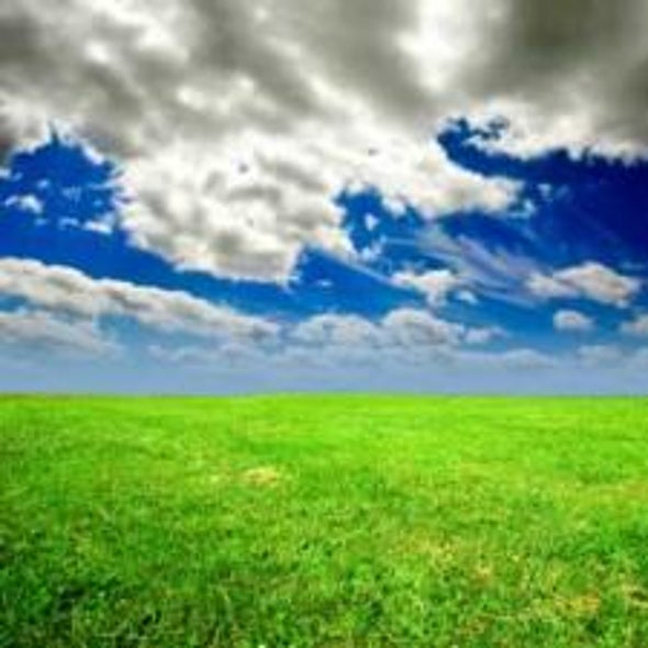 Velocity of Climate Change Varies from Mountain to Marsh
