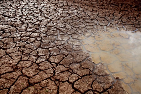 Dry, cracked river bed showing drought conditions.