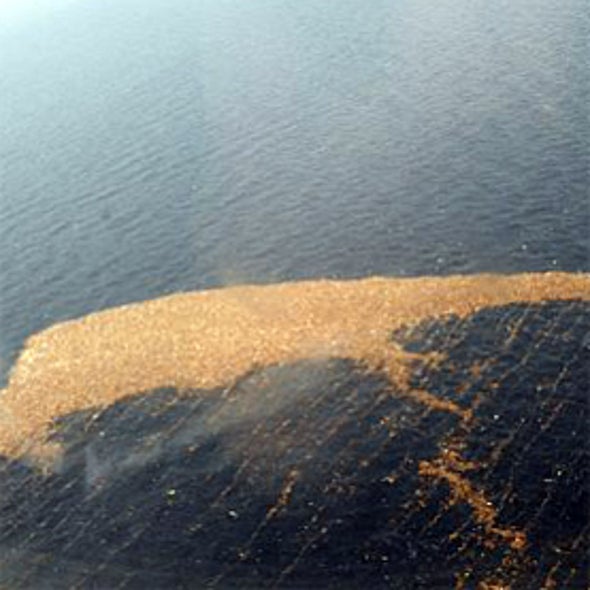 Is Seawater a Last Resort to Cooling Japan's Nuclear Reactors?