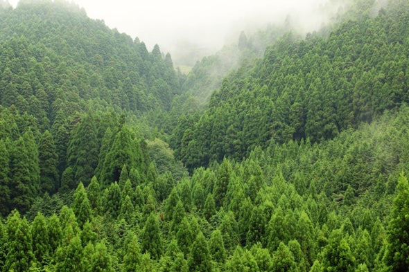 Seed-Scattering Birds May Help Trees Cope with Climate Change