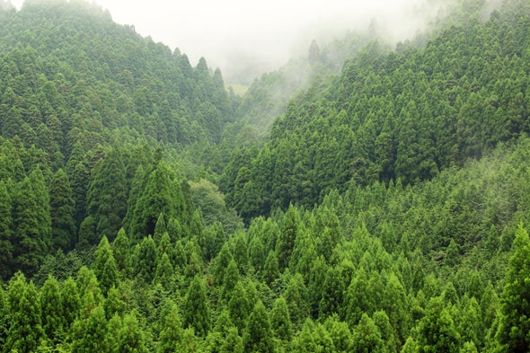 Seed-Scattering Birds May Help Trees Cope with Climate Change
